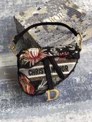 Dior Saddle Bag 001 25.5cm - 1