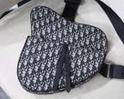 Saddle Oblique bag  - 6