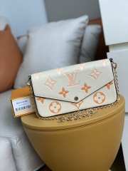 Louis Vuitton Pochette Felicie Bag M80498 - 6