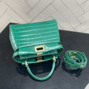 Fendi peekaboo mini green  - 6