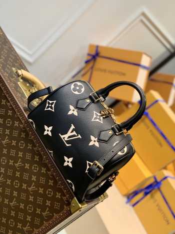 Louis Vuitton Speedy Bag 25cm M58947