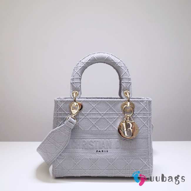 Dior Lady D-lite in gray 24cm - 1