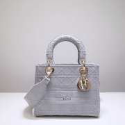 Dior Lady D-lite in gray 24cm - 1