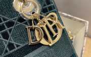 Dior Lady D-Lite Embroided Green 24cm - 6