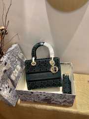 Dior Lady D-Lite Embroided Green 24cm - 3