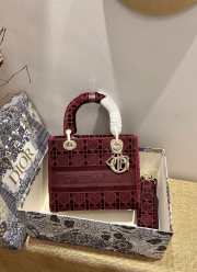 Dior Lady D-Lite Embroided Red 24cm - 5