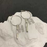 Hermes earings  - 5