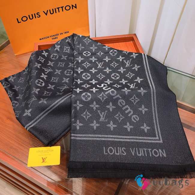 Louis Vuitton Scarf  - 1