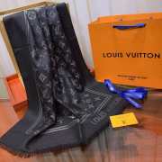 Louis Vuitton Scarf  - 2