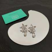 Tiffany & Co Earings - 3