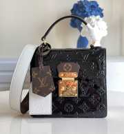 Louis Vuitton LV Spring Street M90376 - 1