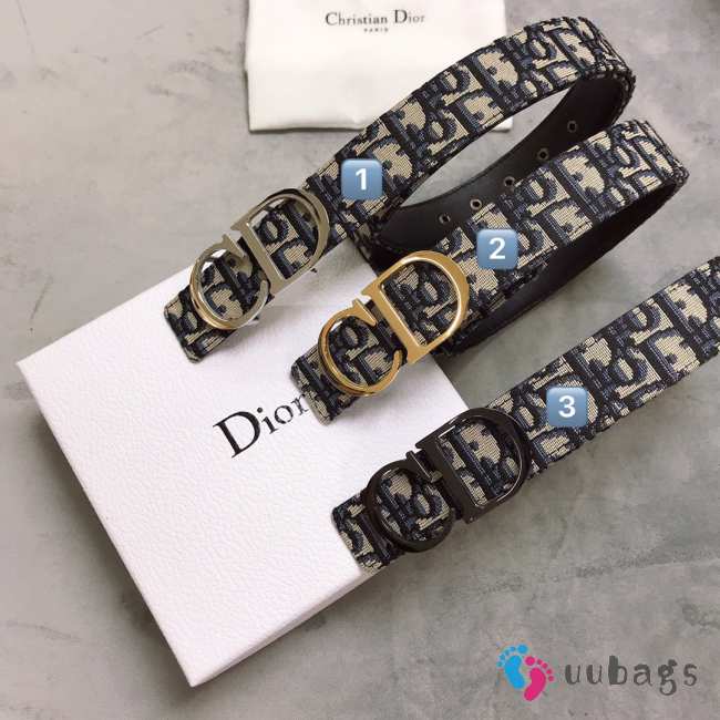 Dior CD belt - 1