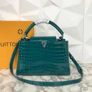 LV Blue Crocodile Capucines PM 31cm - 1