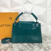 LV Blue Crocodile Capucines PM 31cm - 5