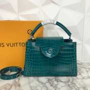 LV Blue Crocodile Capucines PM 31cm - 4