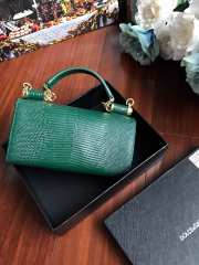 Dolce & Gabbana calfskin crystal DG logo patch green handbag - 3