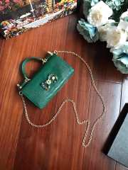 Dolce & Gabbana calfskin crystal DG logo patch green handbag - 4