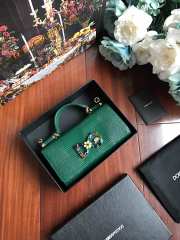 Dolce & Gabbana calfskin crystal DG logo patch green handbag - 5