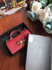 D&G calfskin crystal DG logo patch red handbag - 3