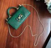 Dolce & Gabbana calfskin crystal DG logo patch green handbag - 1