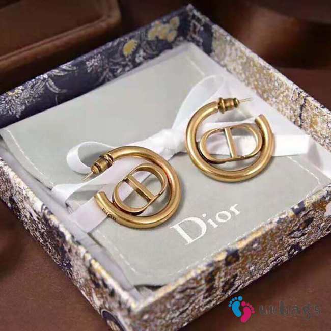 Dior earings - 1