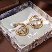 Dior earings - 1