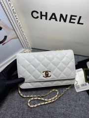 Chanel WOC Bag Mini 19cm (5 colors) - 1