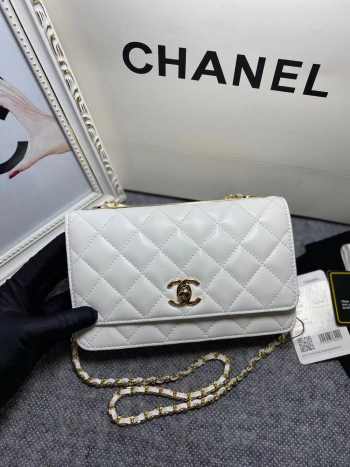 Chanel WOC Bag Mini 19cm (5 colors)