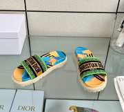 Dior Dway Slippers - 1