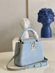 LV Capucine Stardust Tote bag 27cm - 6