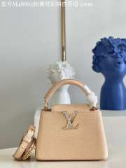 LV Capucine Stardust Tote bag 27cm - 5