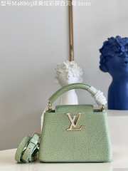 LV Capucine Stardust Tote bag 27cm - 4