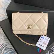 Chanel WOC Bag Mini 19cm (5 colors) - 3