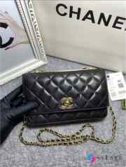 Chanel WOC Bag Mini 19cm (5 colors) - 5