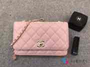 Chanel WOC Bag Mini 19cm (5 colors) - 4