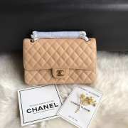 Chanel Classic Flap Bag Cavier A01112 Medium 25.5cm (8 colors) - 1