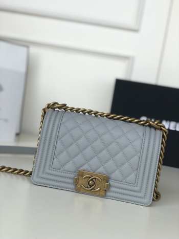 Chanel Leboy Cavier Small Bag Grey 20cm (6 hardware colors)