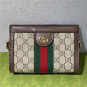 Gucci Ophidia Mini Shoulder Bag 602676 - 1