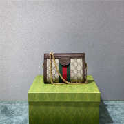 Gucci Ophidia Mini Shoulder Bag 602676 - 5