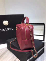 Chanel Vanity Case cowhide leather dark red A57906 - 3