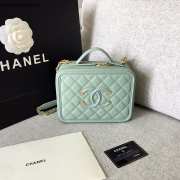 Chanel Vanity Case cowhide leather Mint Green  - 2