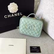 Chanel Vanity Case cowhide leather Mint Green  - 3