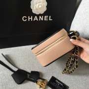 Chanel Vanity Case cowhide leather pink and black  - 3