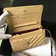 Chanel woc mini bag brown gold chain 33814 19×12.5×4 cm - 5