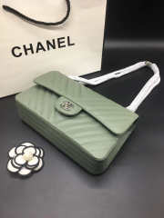 Chanel Flap Bag Caviar green color silver buckle 25x15x7cm - 3