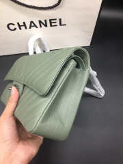 Chanel Flap Bag Caviar green color silver buckle 25x15x7cm - 5