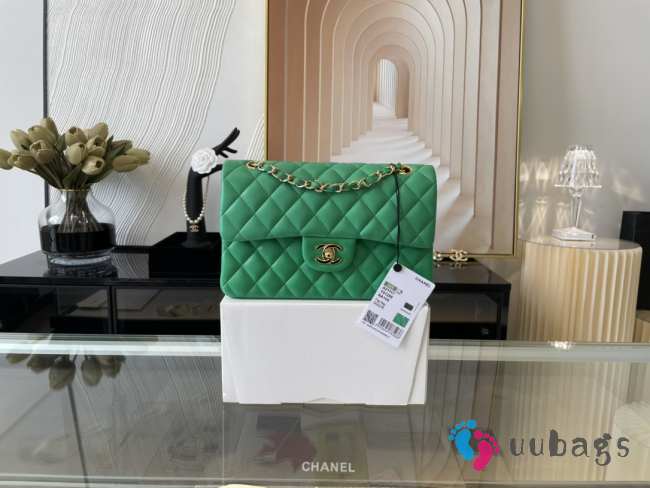 Chanel flap bag lamskin leather green silver and gold buckle 25cm - 1