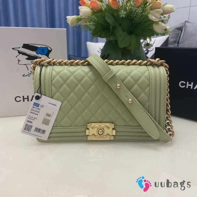 Chanel le boy caviar leather light green Diamant gold hardware 25cm - 1