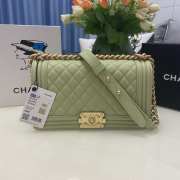 Chanel le boy caviar leather light green Diamant gold hardware 25cm - 1