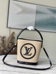 LV neonoe Straw bucket M59962 24x19x18.5cm - 2